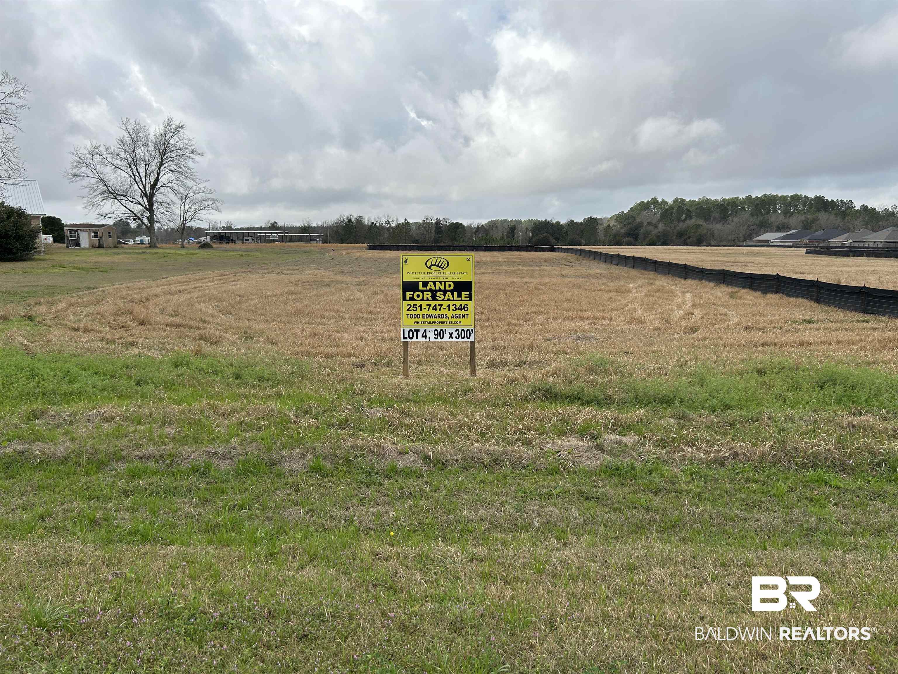 0 Hickory Street Foley, AL 36535 - Photo 1 of 4 View of exterior details
