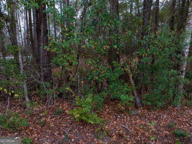 $32,000 | 120 Womack Road, Unit 1 4 ACRES, Jesup, GA 31545