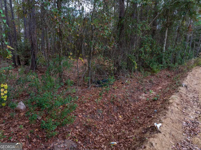$32,000 | 120 Womack Road, Unit 1 4 ACRES, Jesup, GA 31545