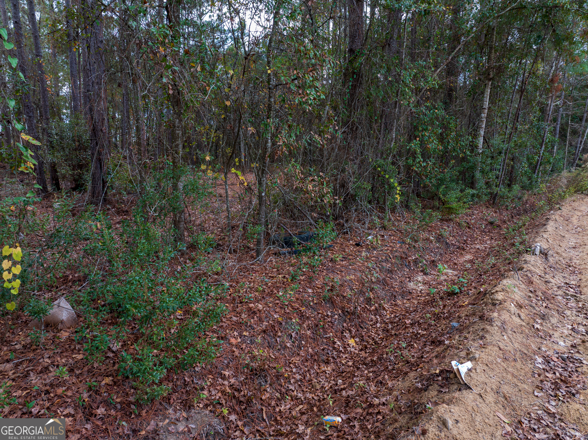 120 Womack Road, Unit 1 4 ACRES Jesup, GA 31545 - Photo 7 of 11