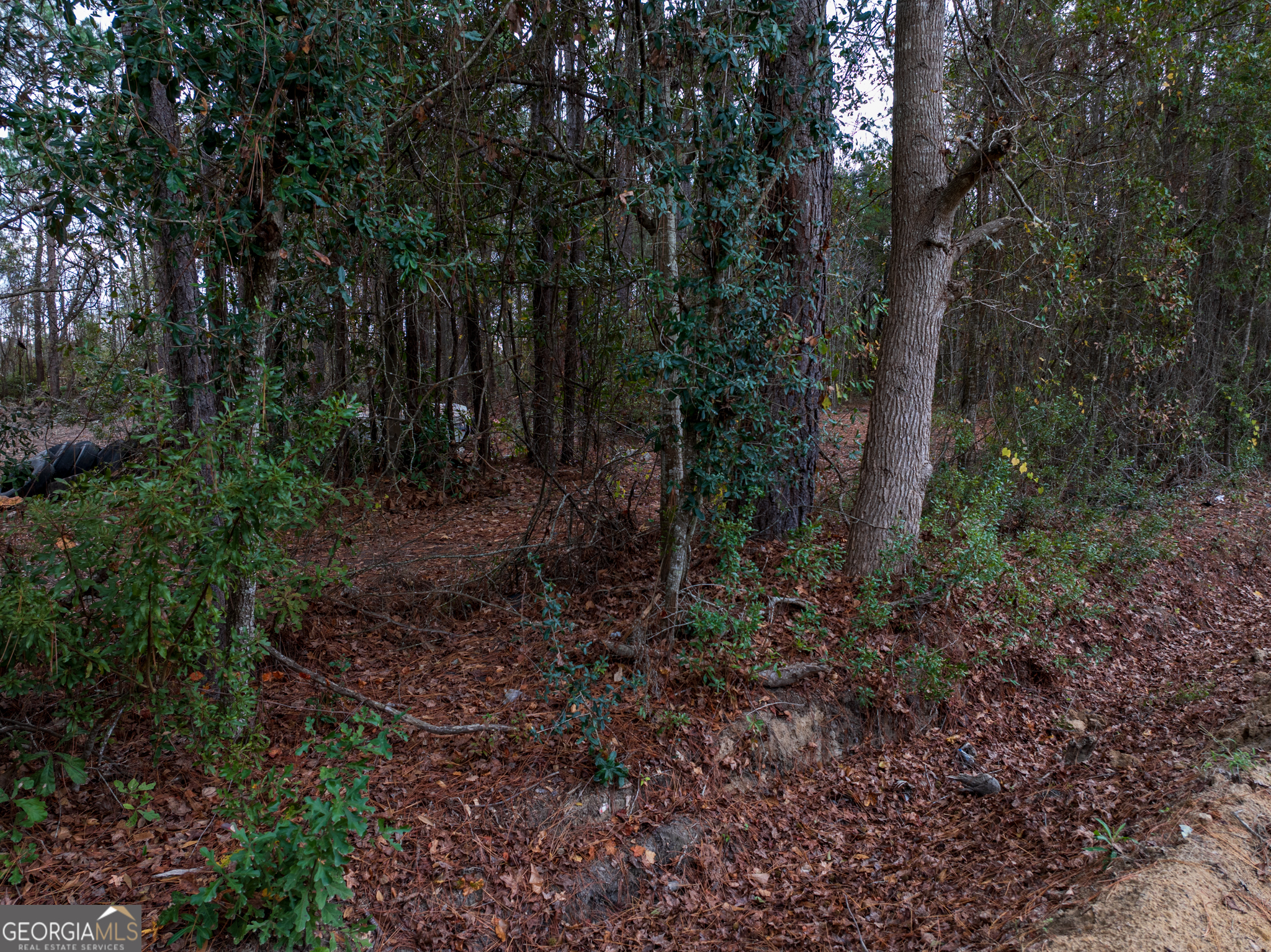 120 Womack Road, Unit 1 4 ACRES Jesup, GA 31545 - Photo 8 of 11