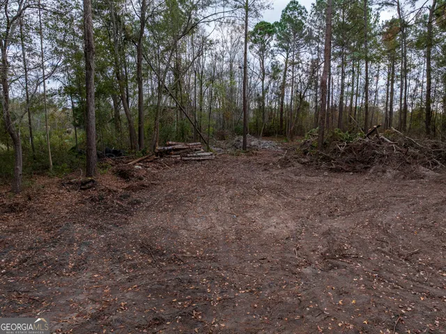 $32,000 | 120 Womack Road, Unit 1 4 ACRES, Jesup, GA 31545