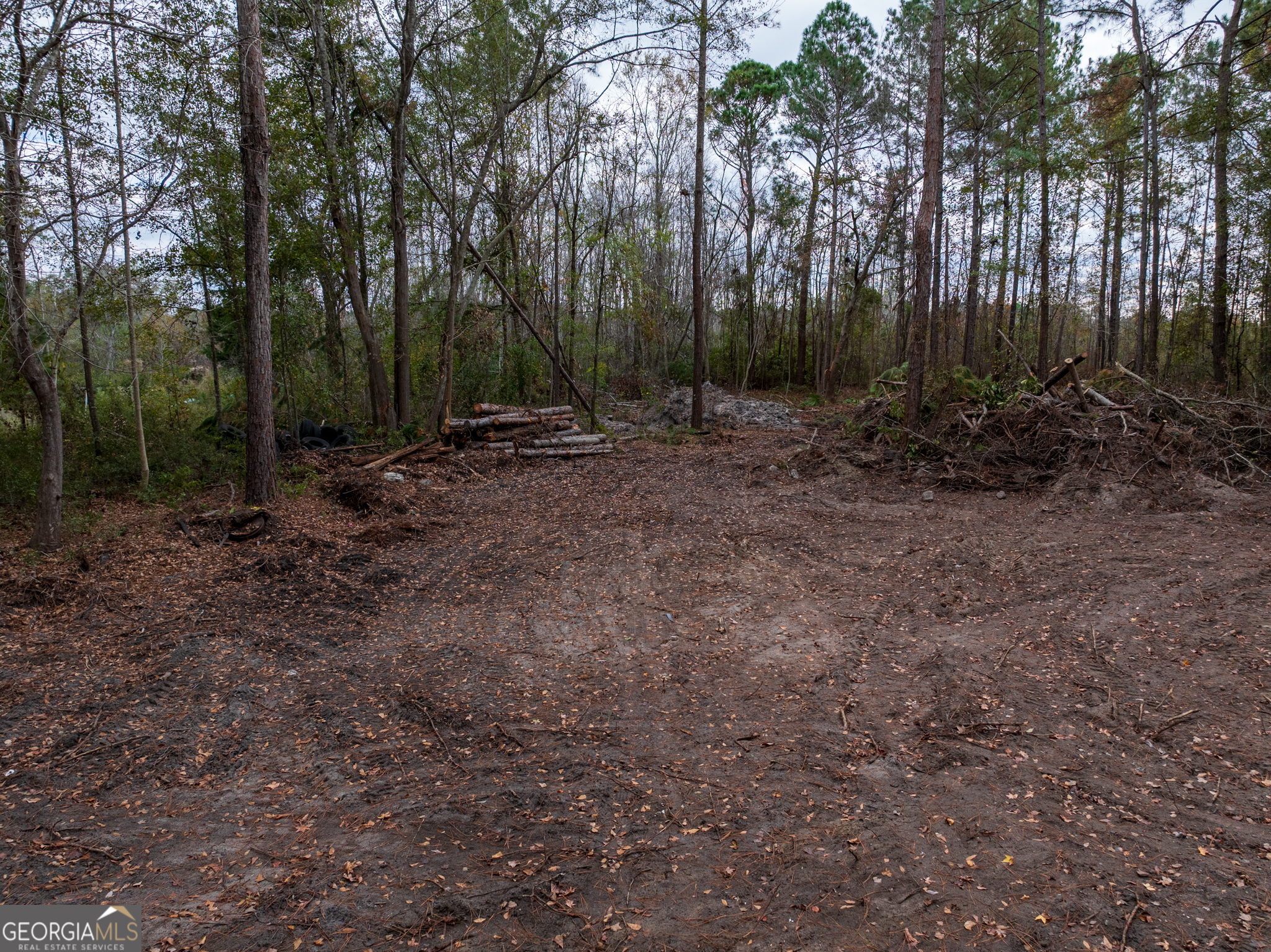 120 Womack Road, Unit 1 4 ACRES Jesup, GA 31545 - Photo 9 of 11