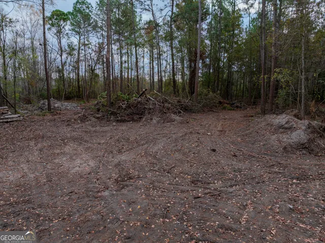 $32,000 | 120 Womack Road, Unit 1 4 ACRES, Jesup, GA 31545