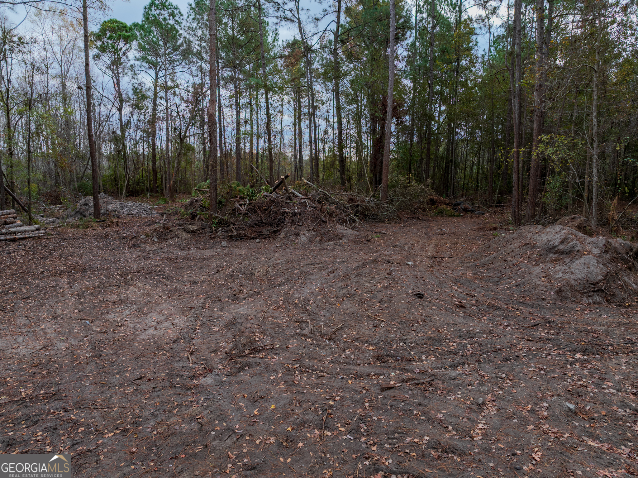 120 Womack Road, Unit 1 4 ACRES Jesup, GA 31545 - Photo 10 of 11