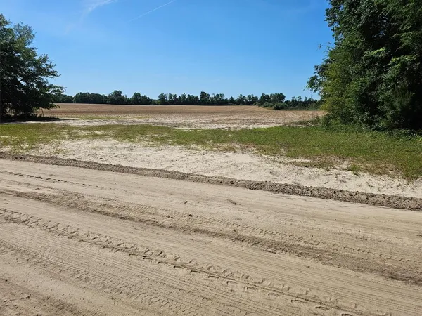 $6,000 | 0 Holton Road, Gordon, AL 36343