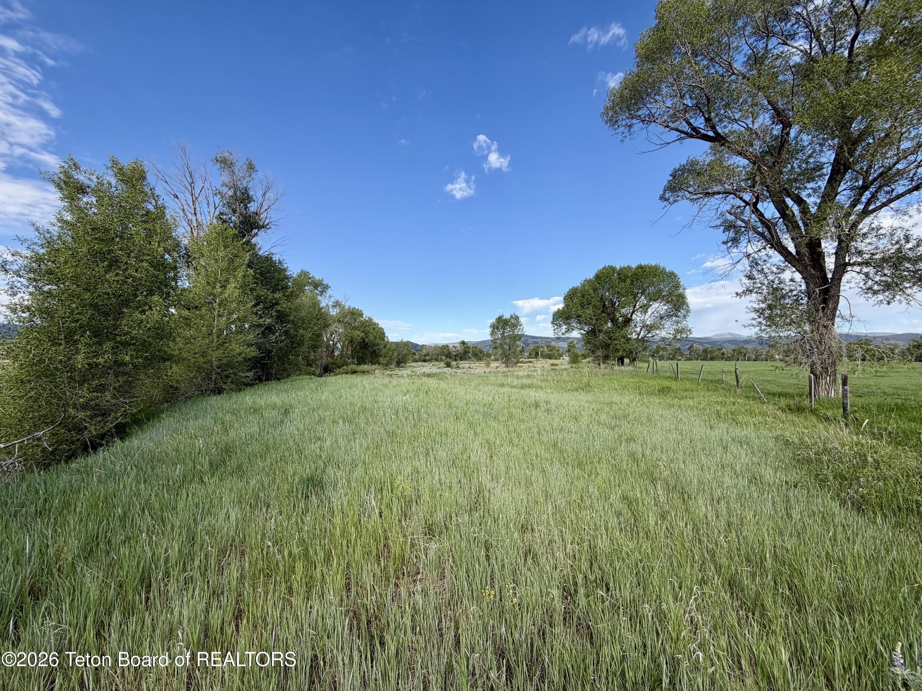 989 Dry Creek Road Afton, WY 83110 - Photo 125 of 129 IMG_1540