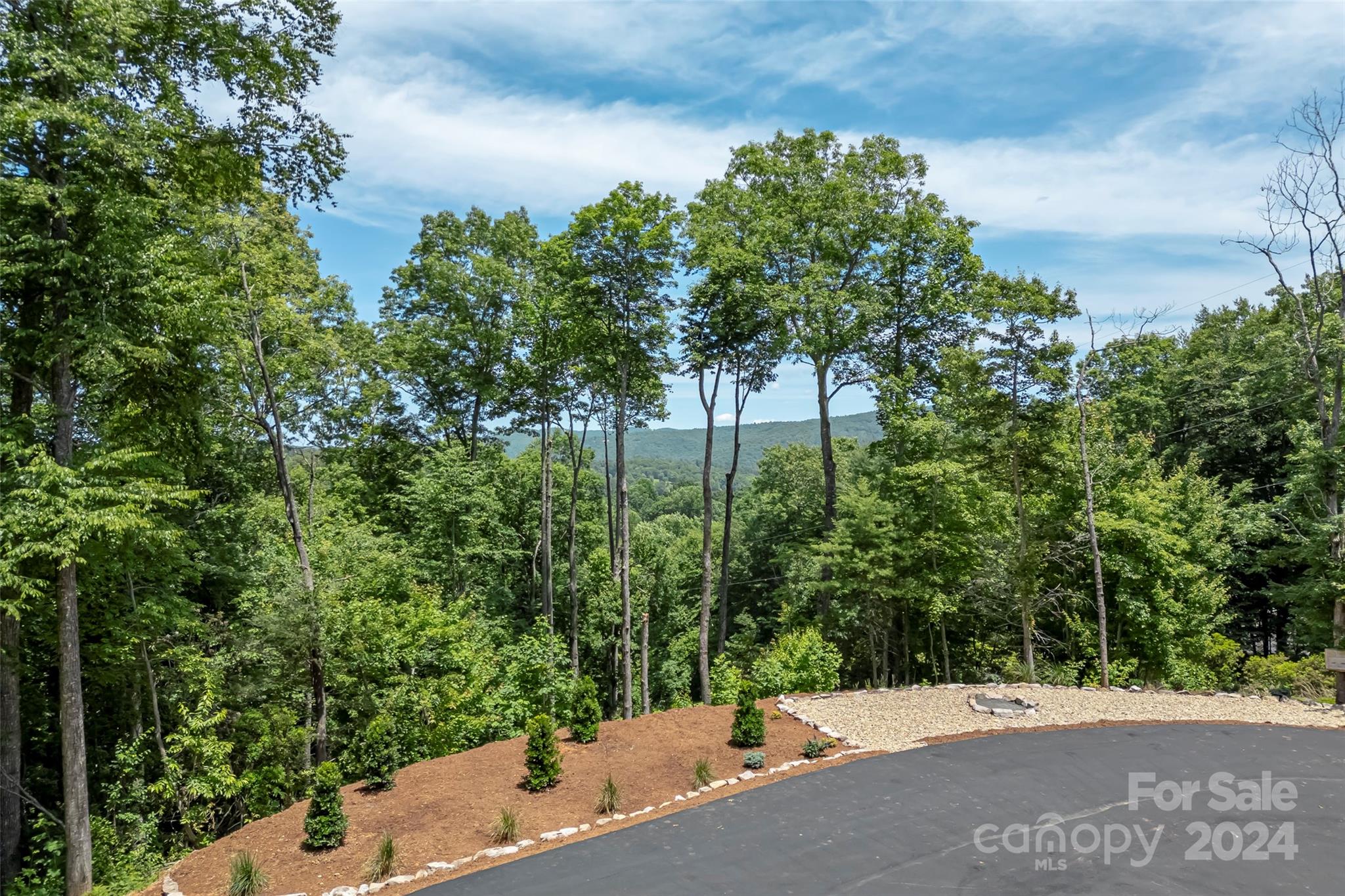 81 Still House Mountain Road Brevard, NC 28712 - Photo 5 of 46 Gallery Image 5