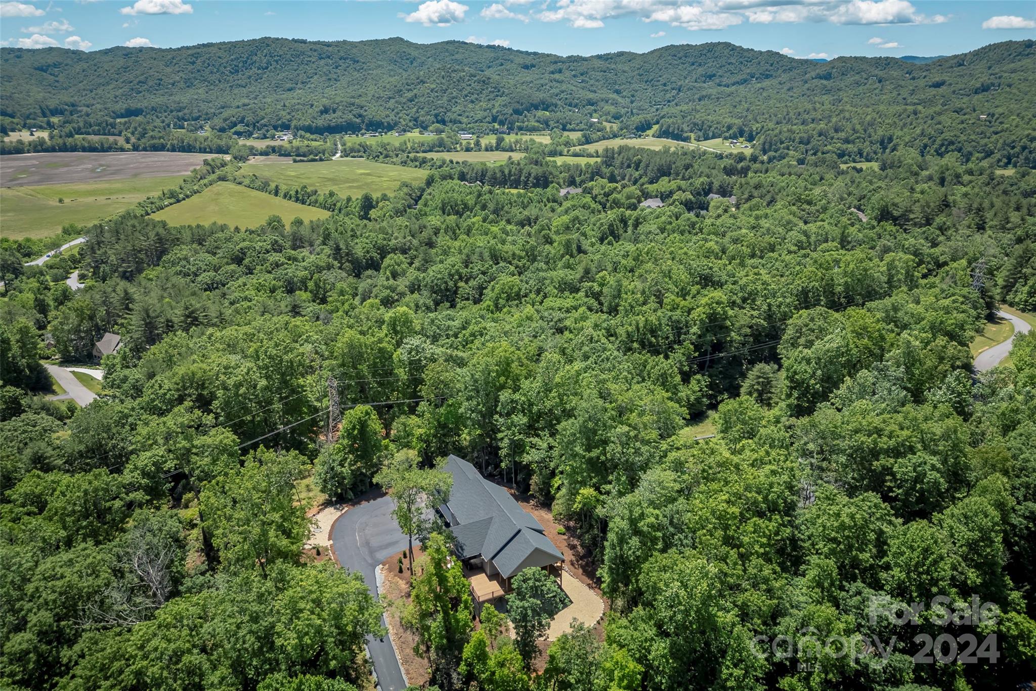 81 Still House Mountain Road Brevard, NC 28712 - Photo 7 of 46 Gallery Image 7