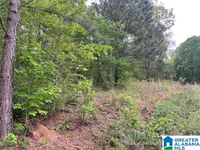 0 Ridgeview Court, Unit 39 Wedowee, AL 36278 - Photo 3 of 5