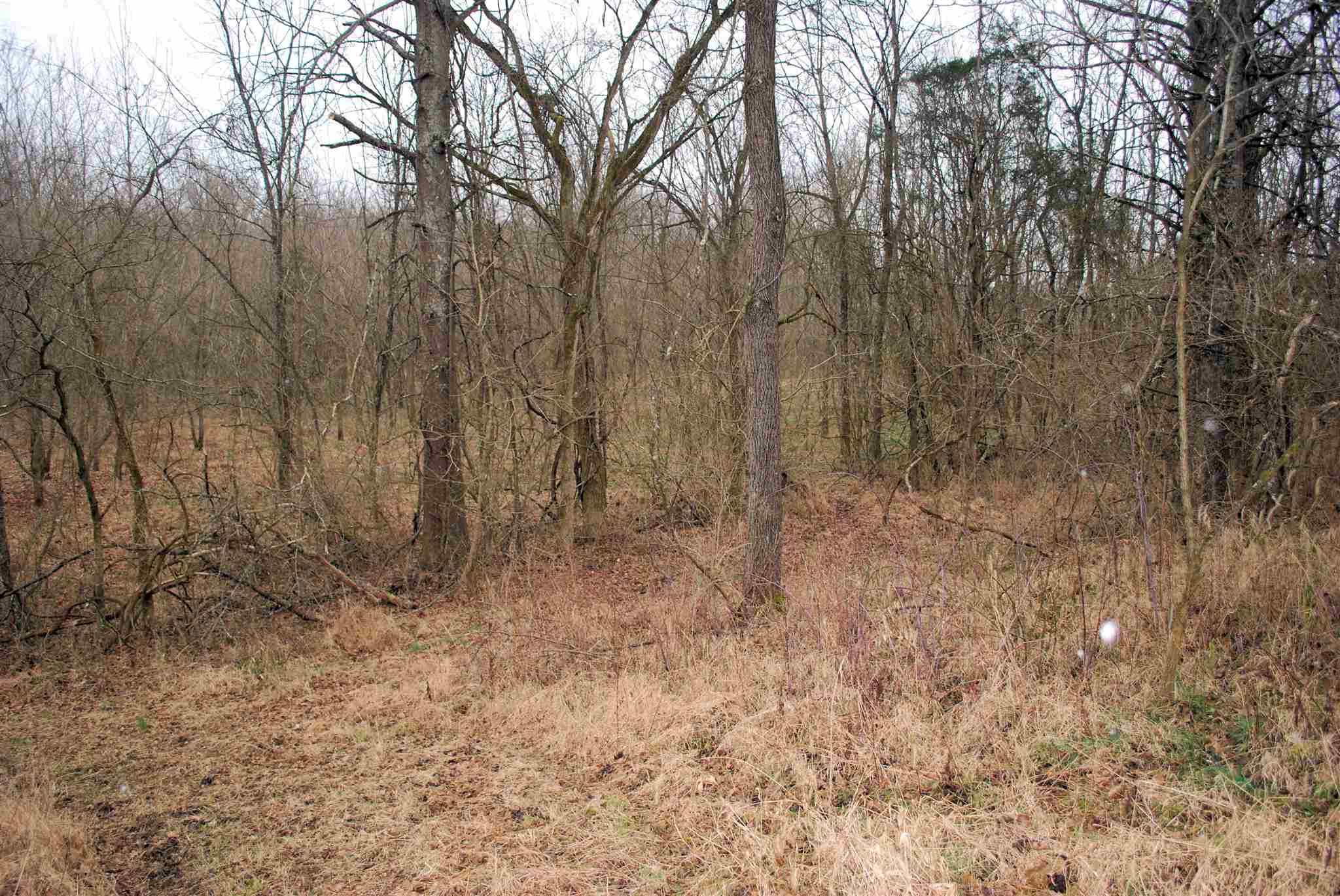3710 Moffett Road Morning View, KY 41063 - Photo 17 of 25