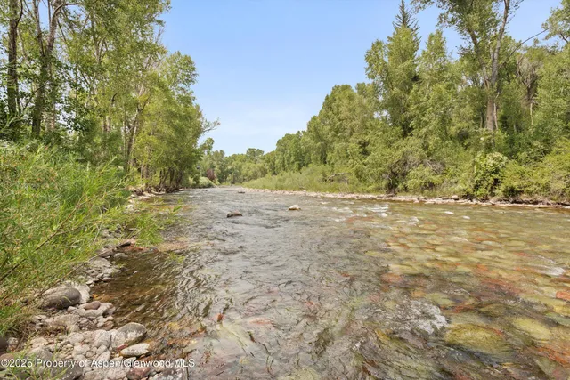 a view of dirt field with trees