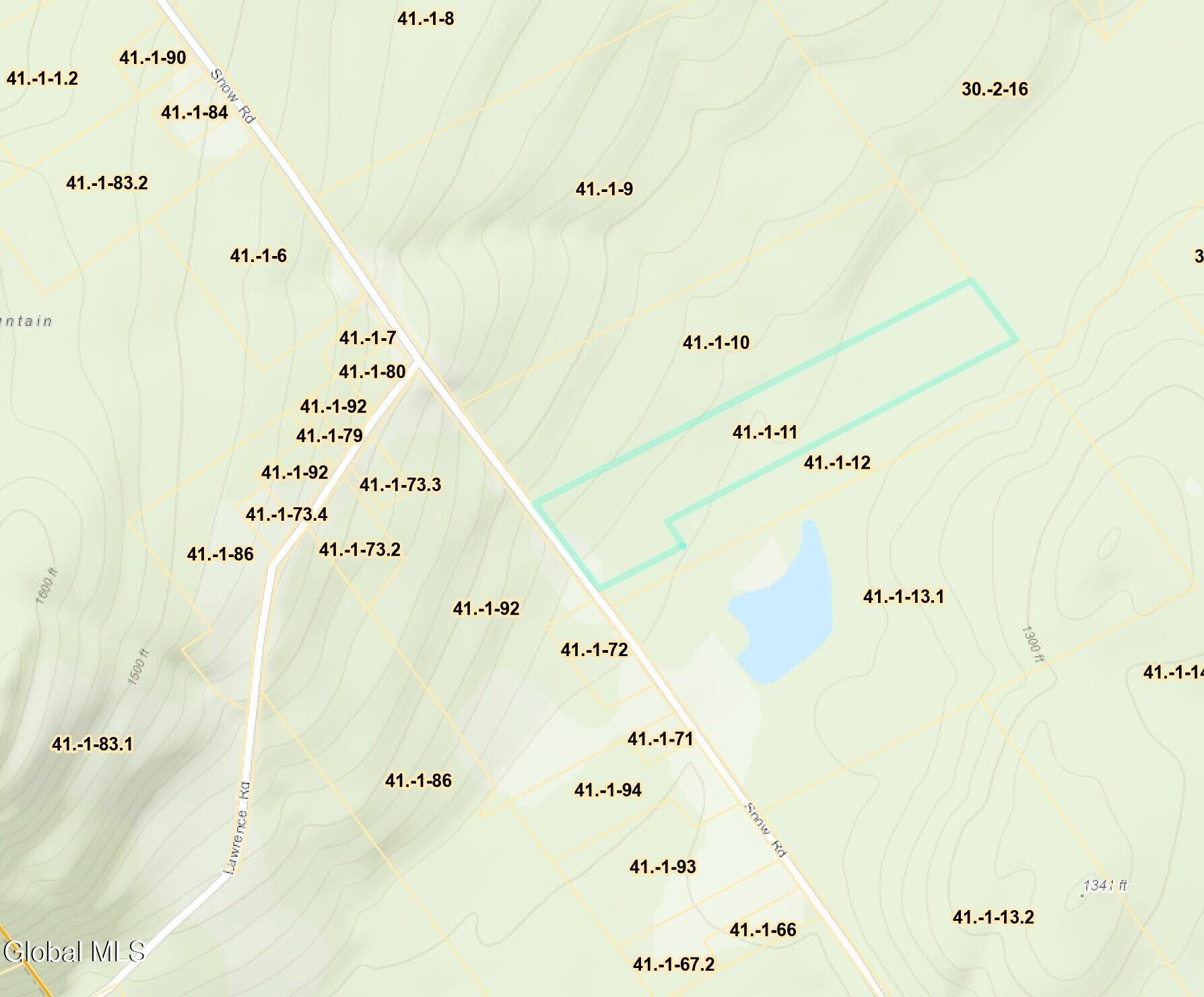 279 Snow Road Hadley, NY 12835 - Photo 18 of 18 gis map