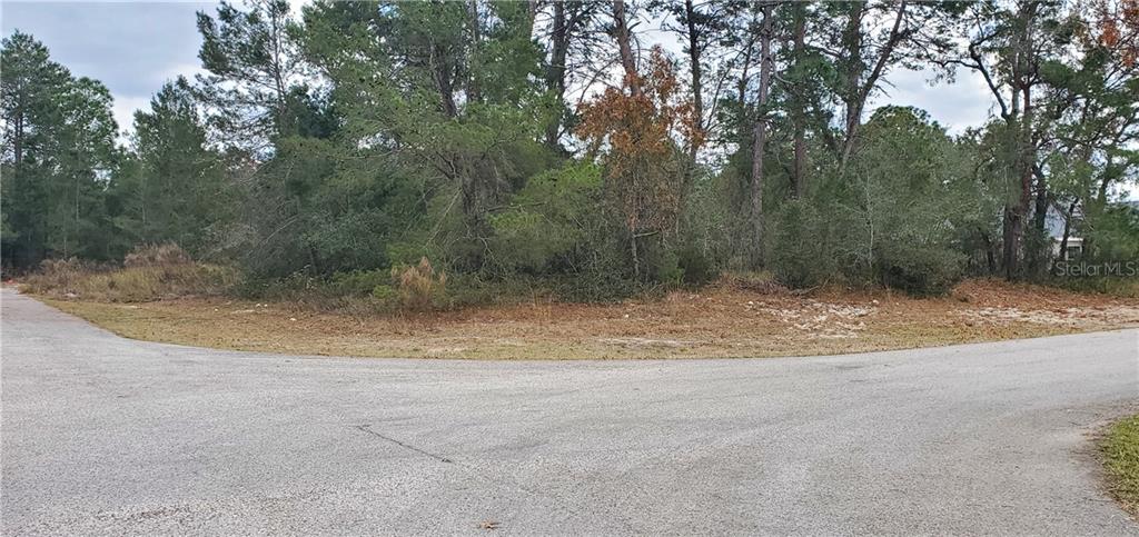 Skyland St Spring Hill Spring Hill, FL 34608 - Photo 1 of 1 Gallery Image 1