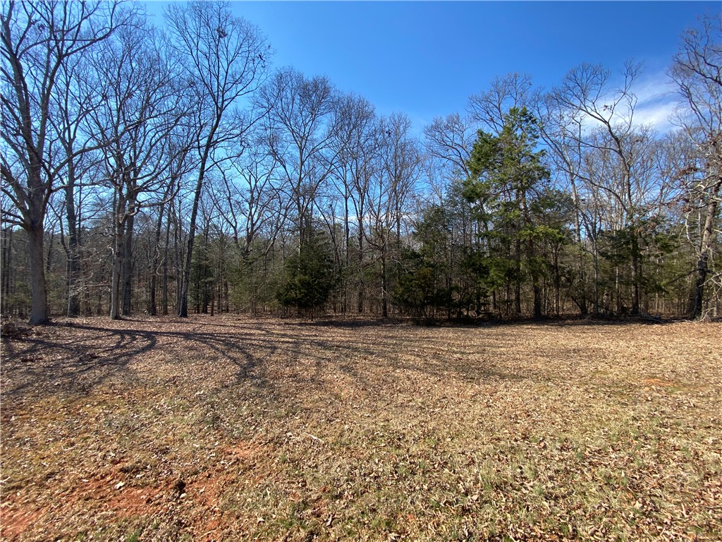 Lot 7 Majestic Shores Road Hartwell, GA 30643 - Photo 2 of 17 Lot 7