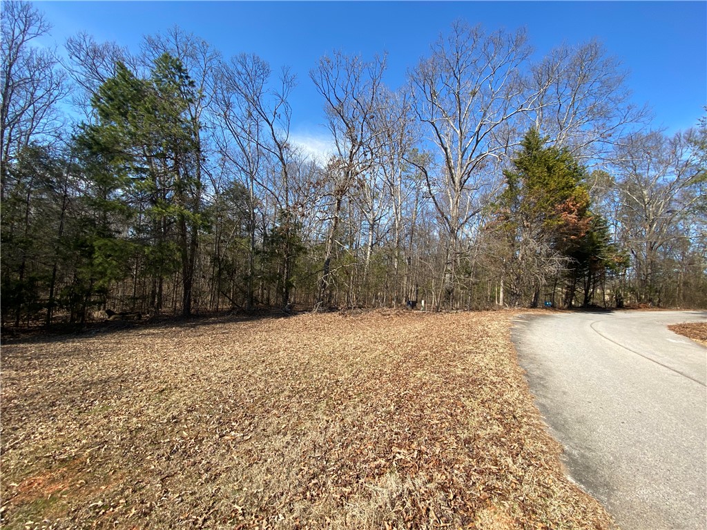 Lot 7 Majestic Shores Road Hartwell, GA 30643 - Photo 3 of 17 Lot 7