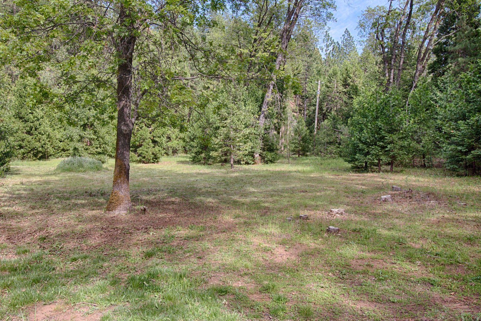 27680 Fox Run Road Oak Run, CA 96069 - Photo 27 of 30 property-2