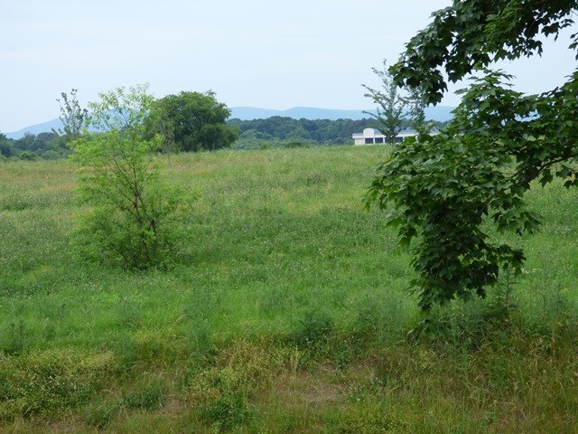 1604 Chatham Road Waynesboro, VA 22980 - Photo 46 of 49 Gallery Image 46