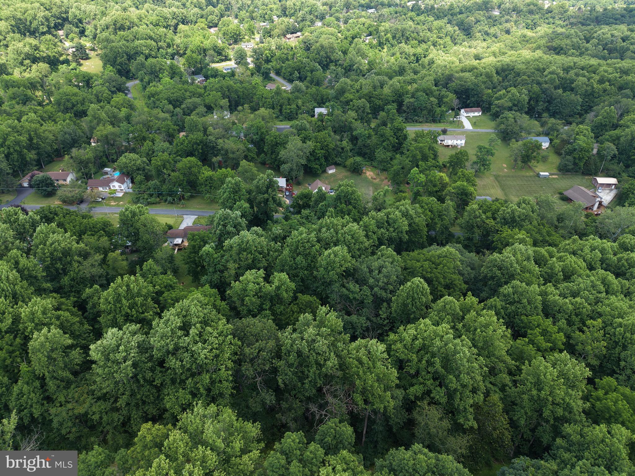 3 52 /- Acres Oak Ridge Trail Fairfield, PA 17320 - Photo 6 of 13