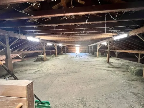 a view of a bathroom with a shower