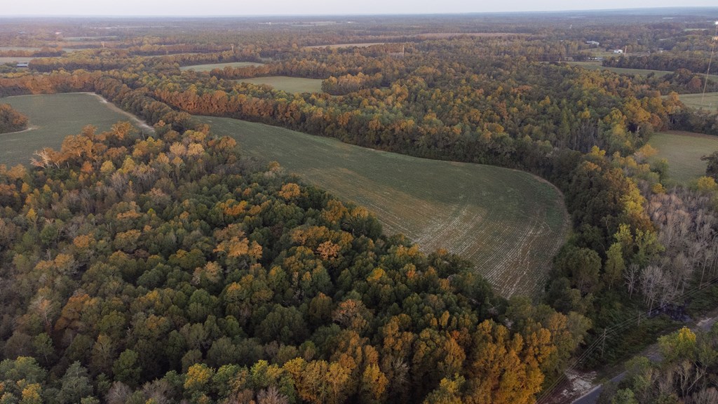 0 South County Road 83 Samson, AL 36477 - Photo 4 of 8