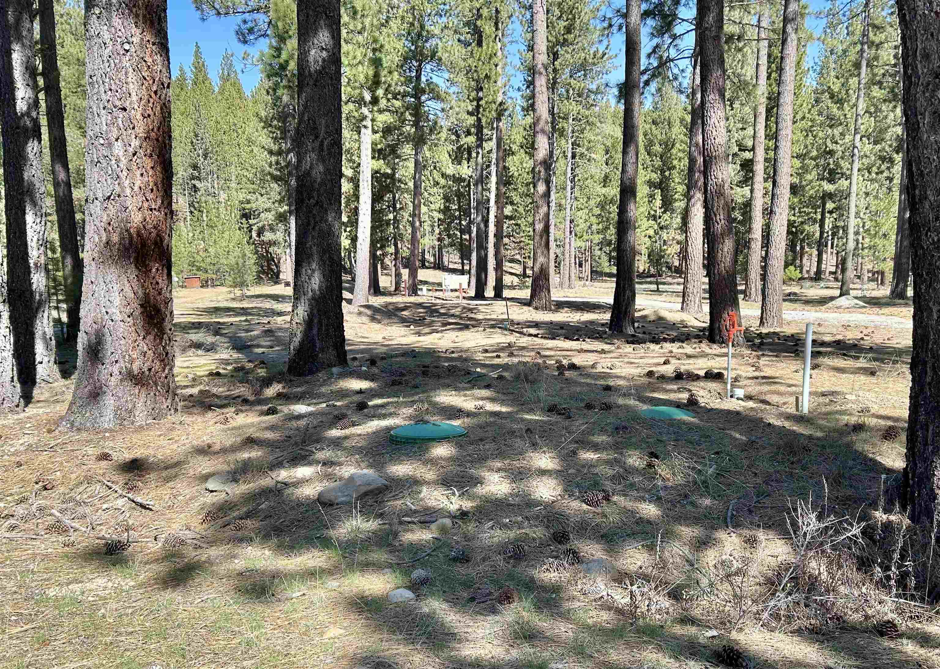 329 Clio State 40A Road Clio, CA 96106 - Photo 3 of 32