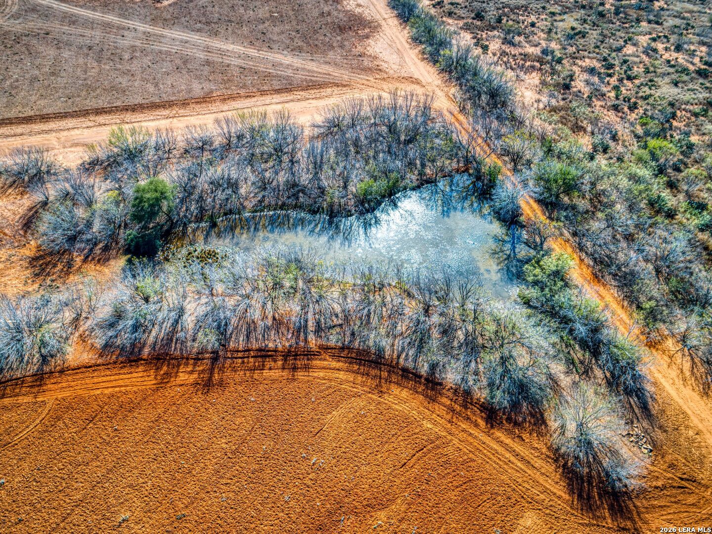 Tbd Vergara Road Dilley, TX 78017 - Photo 6 of 15