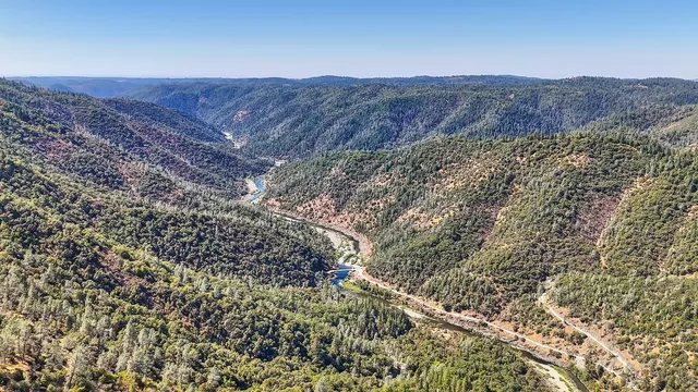 a view of a house with a yard plants and large tree