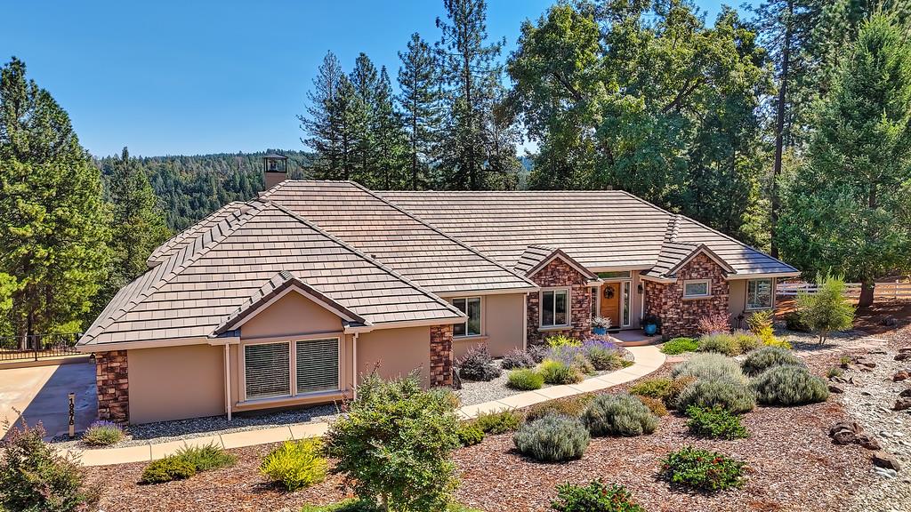 19676 Eagle Ridge Road Foresthill, CA 95631 - Photo 5 of 68 a view of a house with a yard plants and large tree