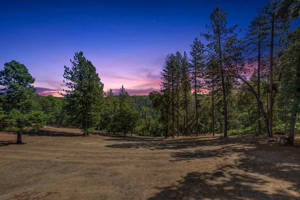 19676 Eagle Ridge Road Foresthill, CA 95631 - Photo 55 of 68 a view of road with trees