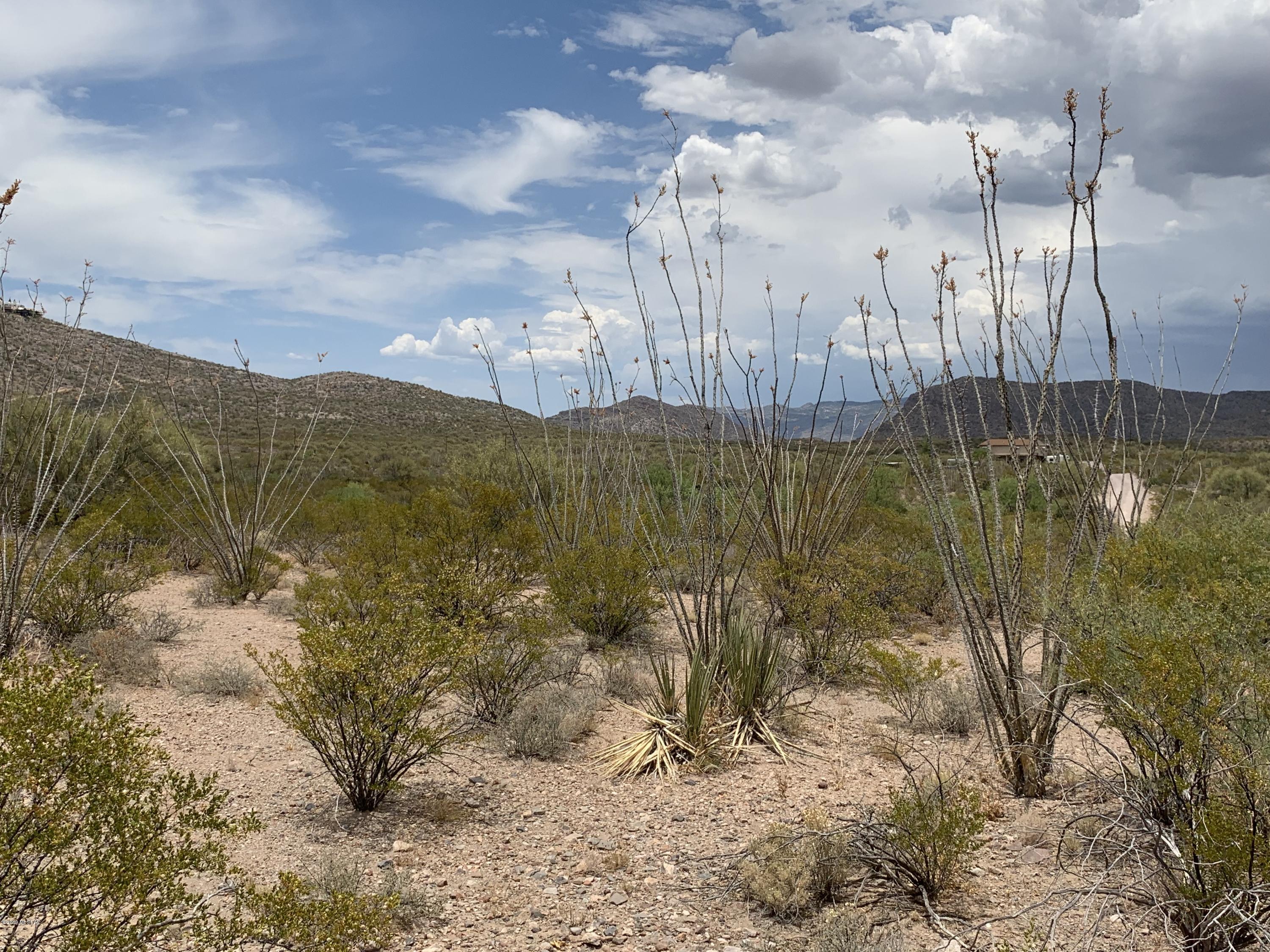 12435 East Agua Verde Road Vail, AZ 85641 - Photo 9 of 26