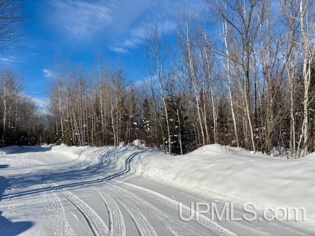 5586 South Helen Lake Road Ishpeming, MI 49849 - Photo 2 of 54