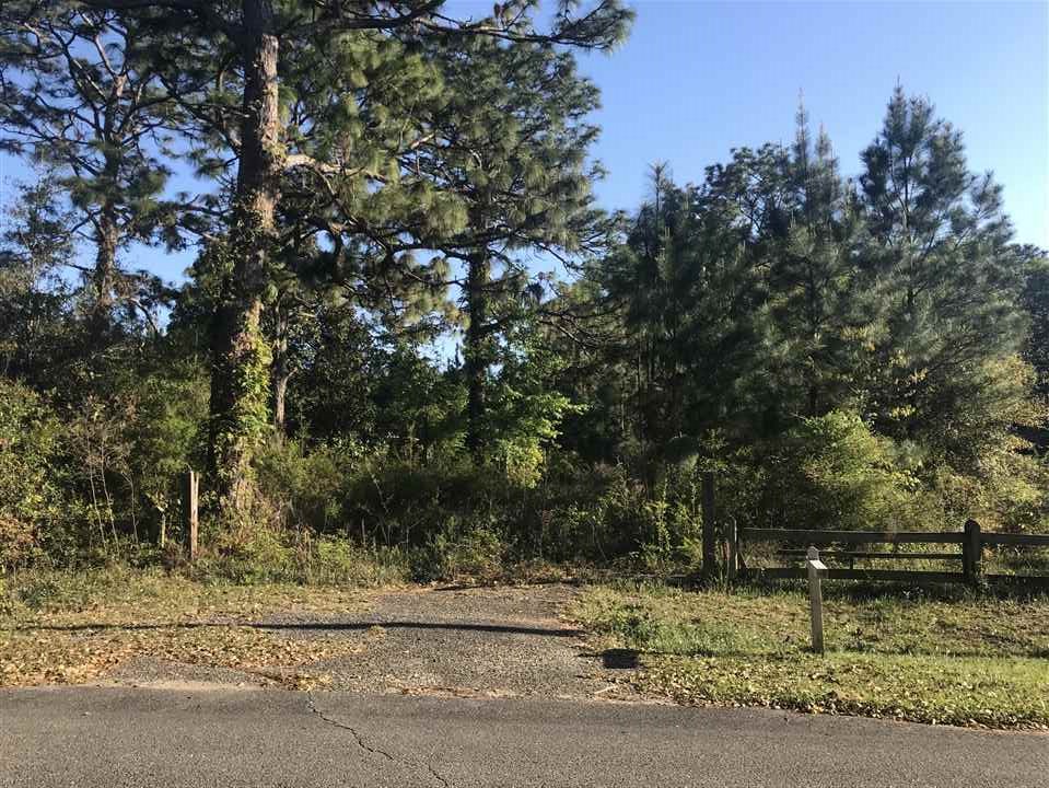 13780 Roberts Road Loxley, AL 36551 - Photo 1 of 8