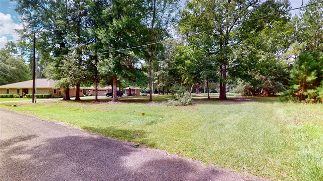 a view of a park with large trees
