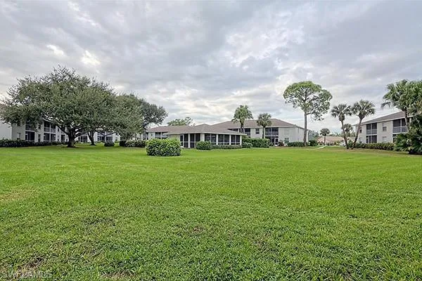 a view of a house with a big yard and a large trees