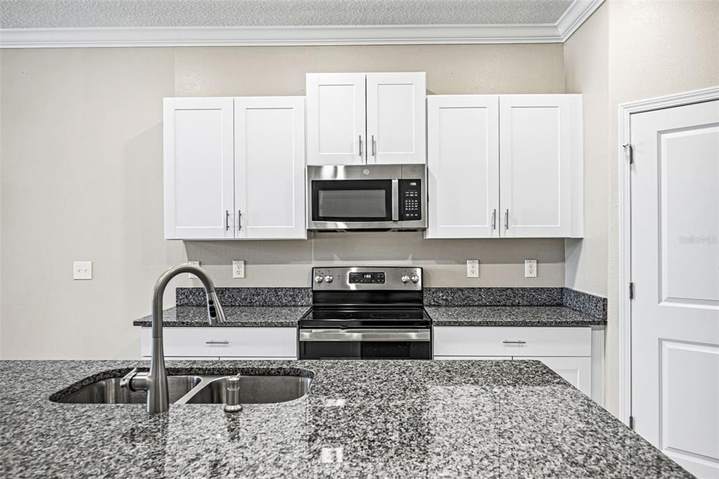 31945 Blue Passing Loop Wesley Chapel, FL 33545 - Photo 6 of 22 a kitchen with granite countertop a sink and a stove top oven