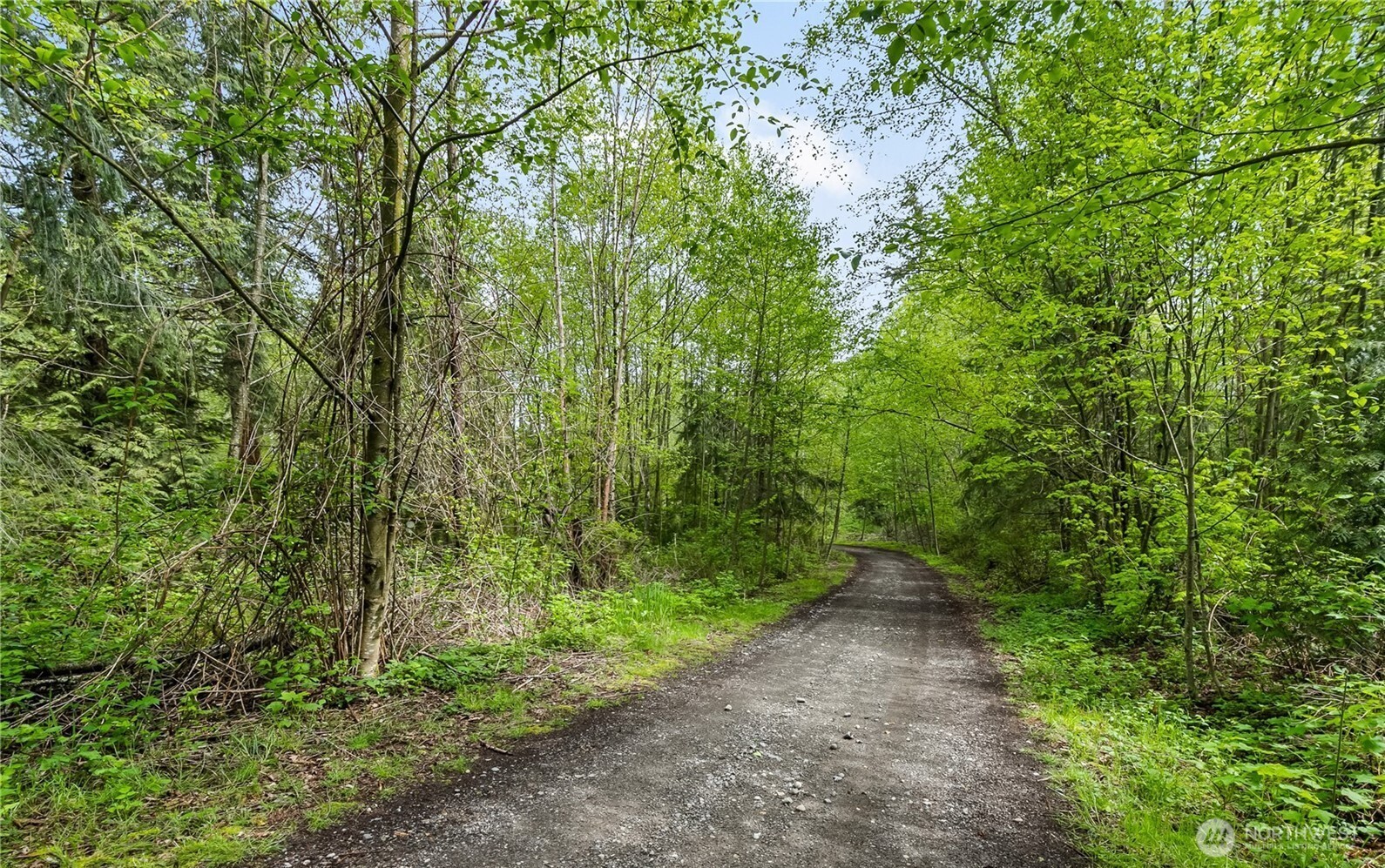 3324 Bailey Way Ferndale, WA 98248 - Photo 23 of 23 a view of a pathway both side of yard