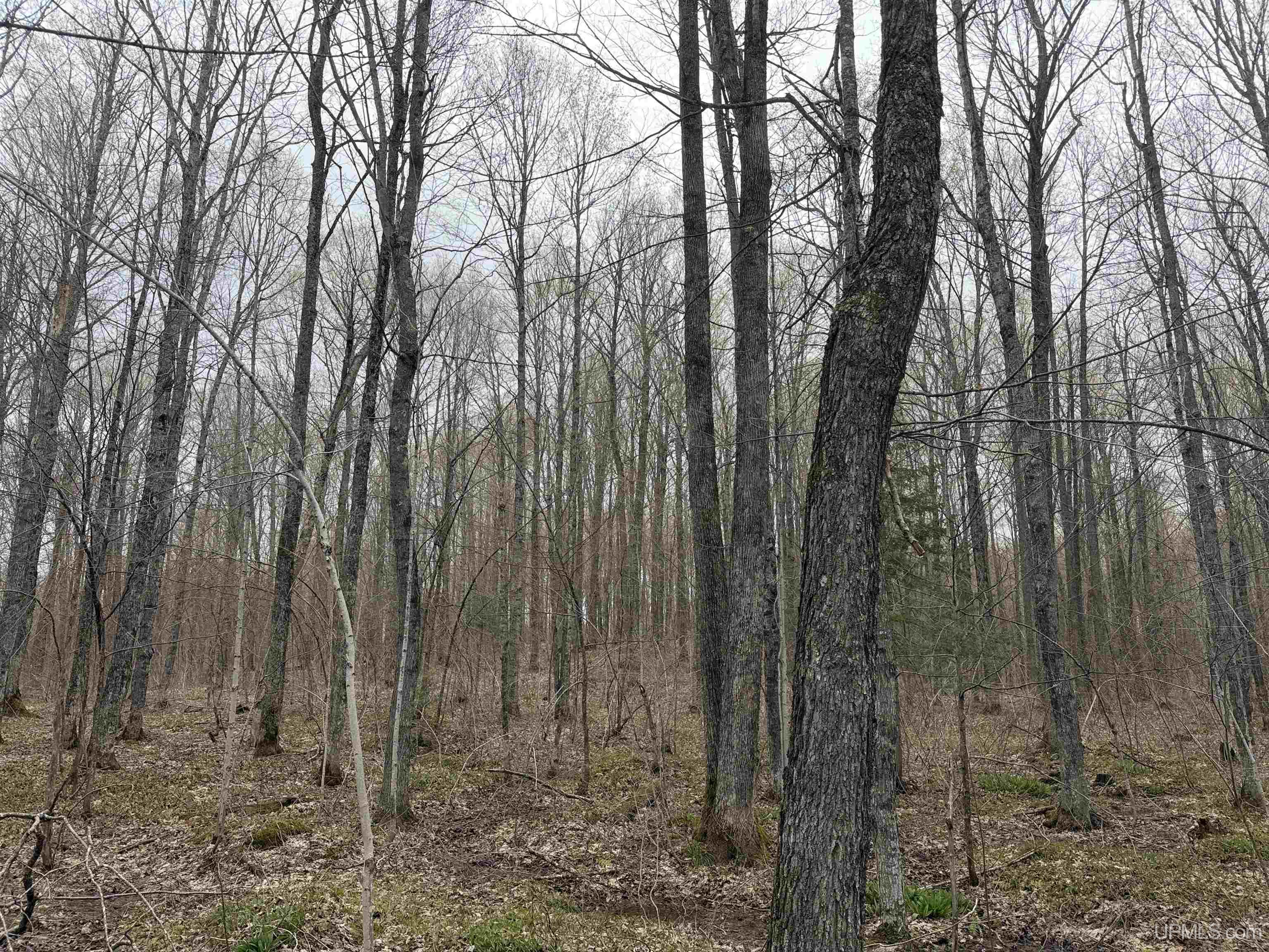 Tbd Lake Road Ironwood, MI 49938 - Photo 17 of 31