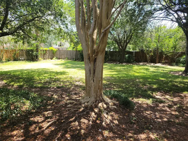 a view of a yard with a tree