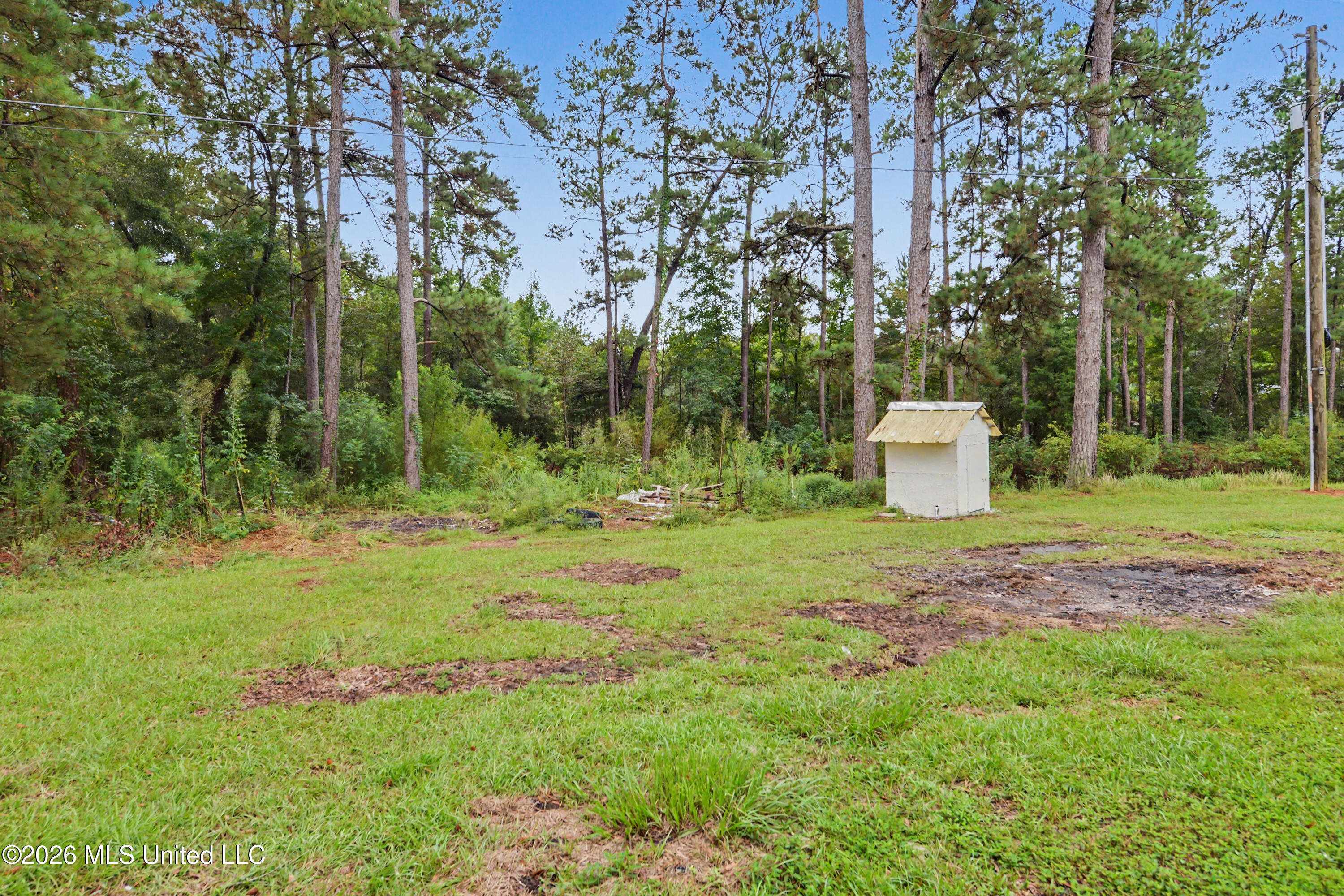 296 Tom Hempstead Road Lucedale, MS 39452 - Photo 25 of 35 Pump House