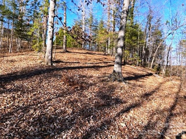 Lot 17-4 North Coast Dr Mill Spring Mill Spring, NC 28756 - Photo 2 of 14 a view of dirt yard with a large tree