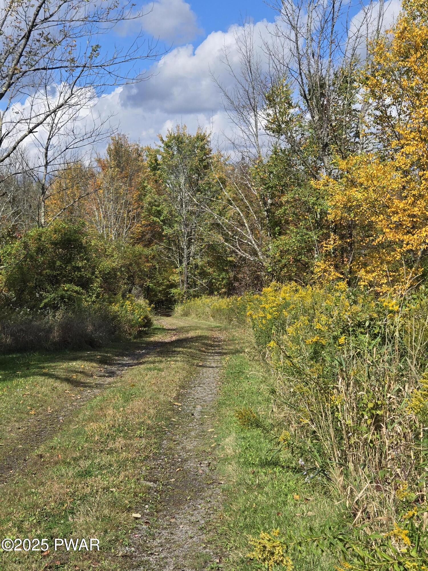 112 Leonard Road Pleasant Mount, PA 18453 - Photo 29 of 47 DRIVEWAY