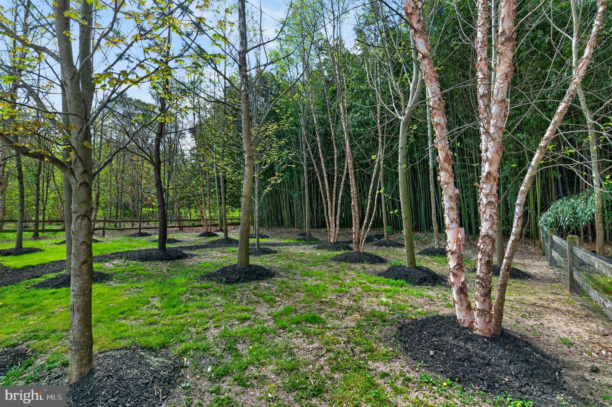 38 Kleis Road Severna Park, MD 21146 - Photo 45 of 50