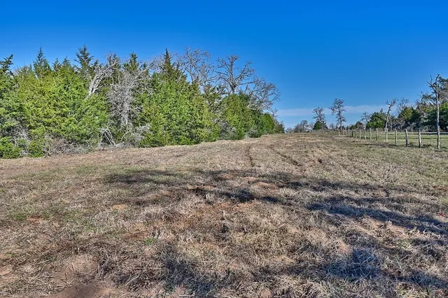 a view of a backyard with large trees