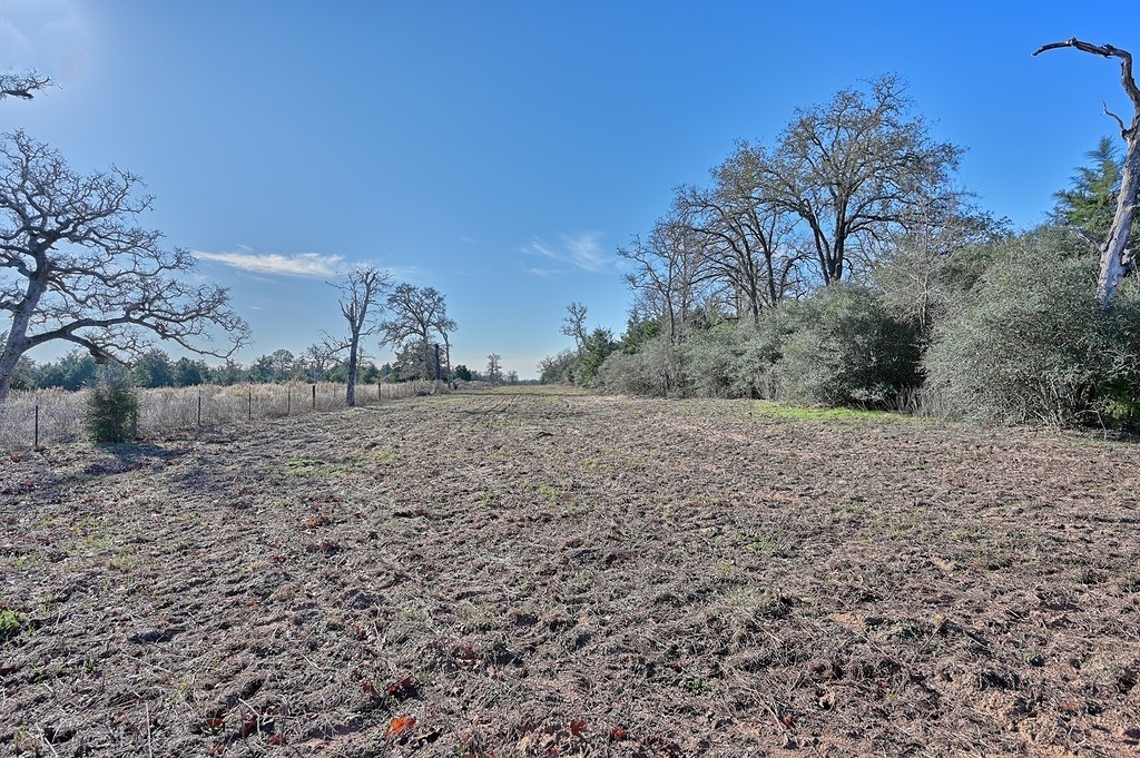 1400 FM 2434 Weimar, TX 78962 - Photo 18 of 24 a view of a dry yard with trees