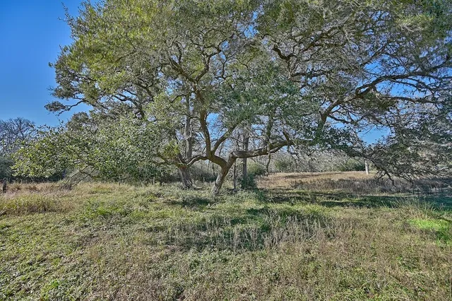 $3,340,725 | 1400 FM 2434, Weimar, TX 78962
