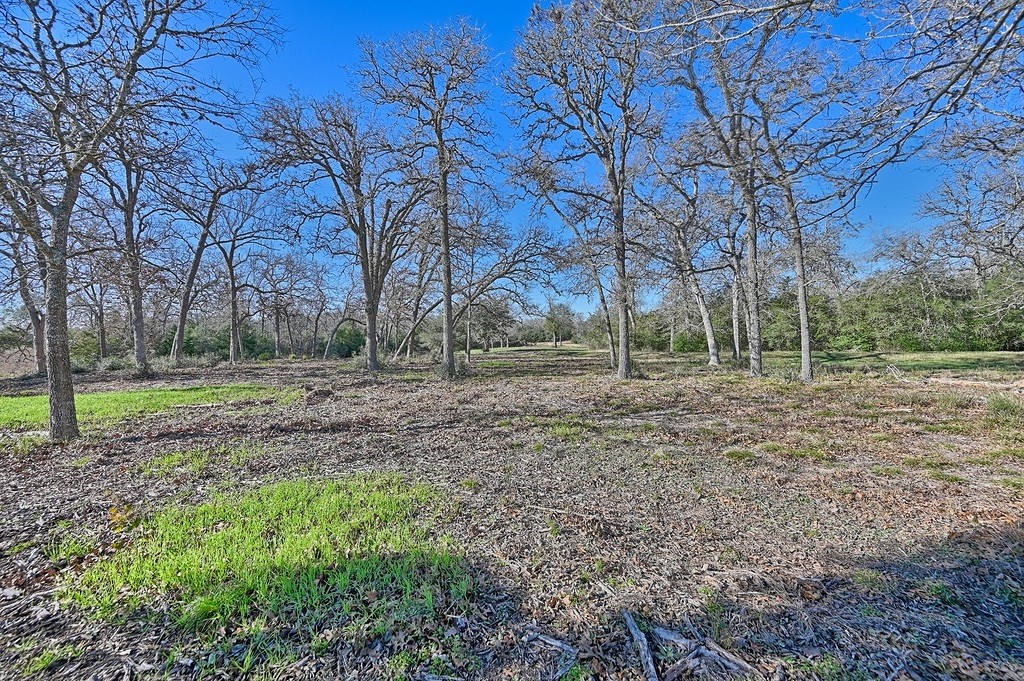 1400 FM 2434 Weimar, TX 78962 - Photo 6 of 24 a view of outdoor space with trees