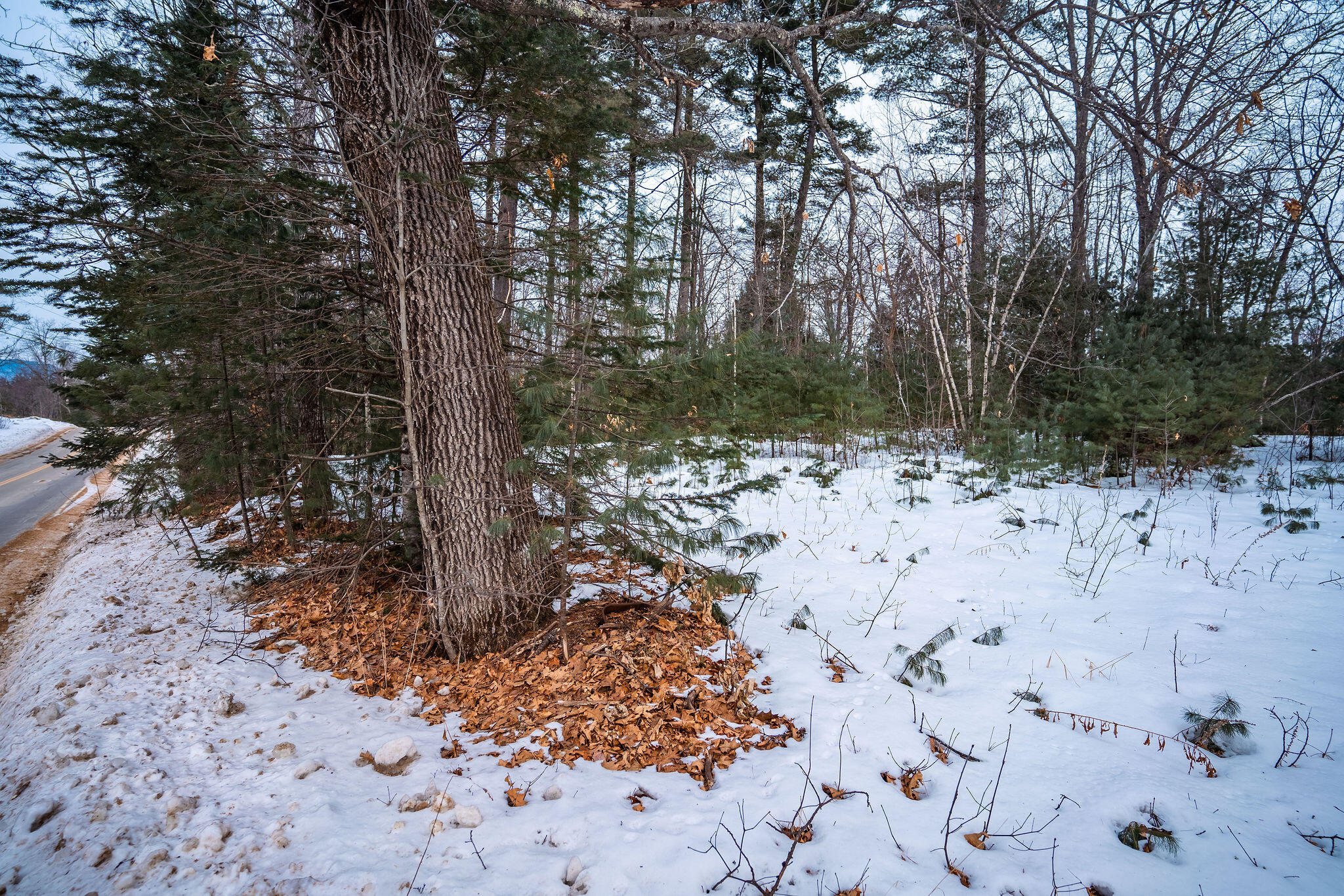 M5-l28 Stow Road Stow, ME 04037 - Photo 23 of 32 View from Stow Rd