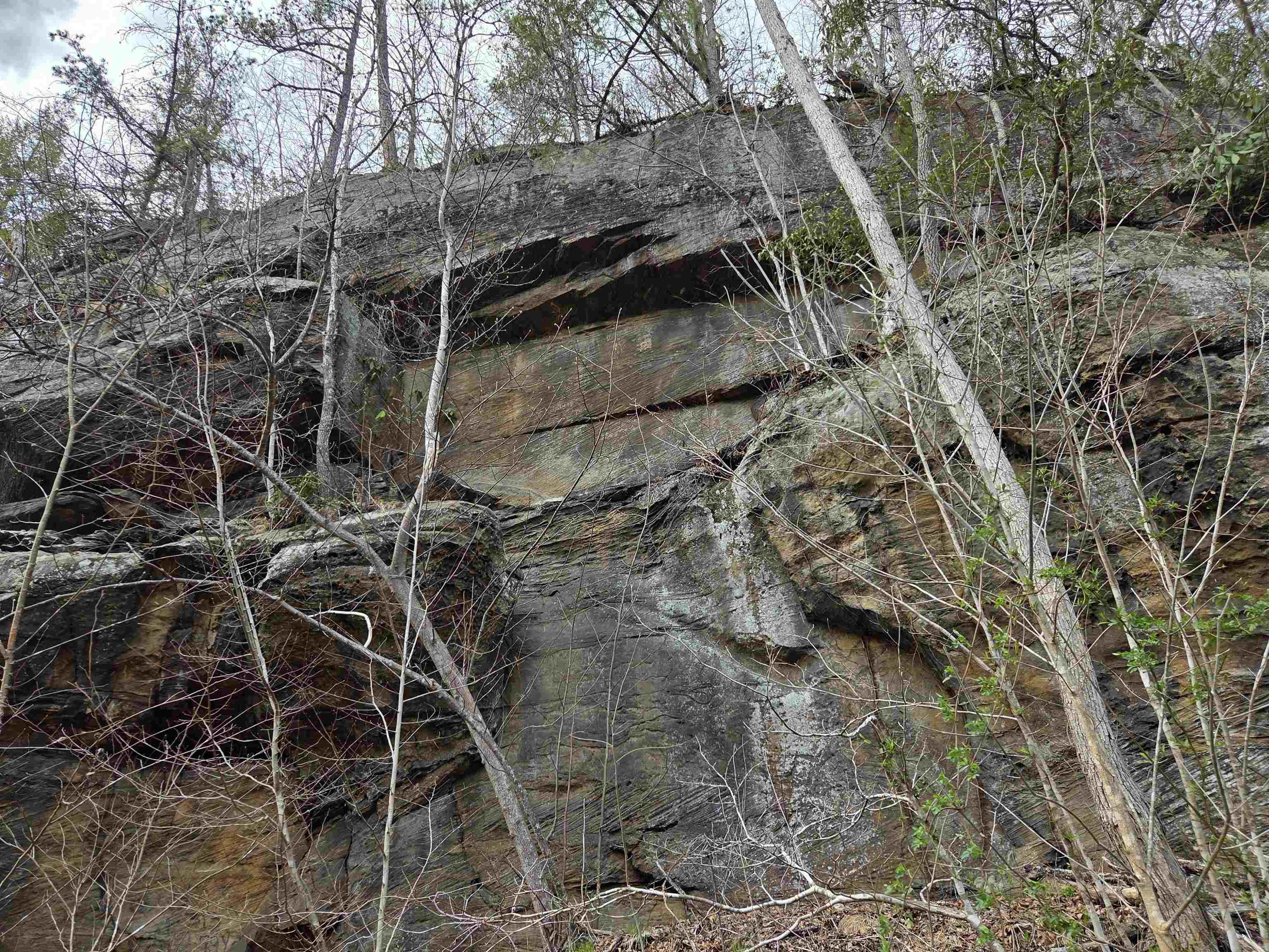 Kiser Fork Road Olive Hill, KY 41164 - Photo 10 of 46 Gallery Image 10
