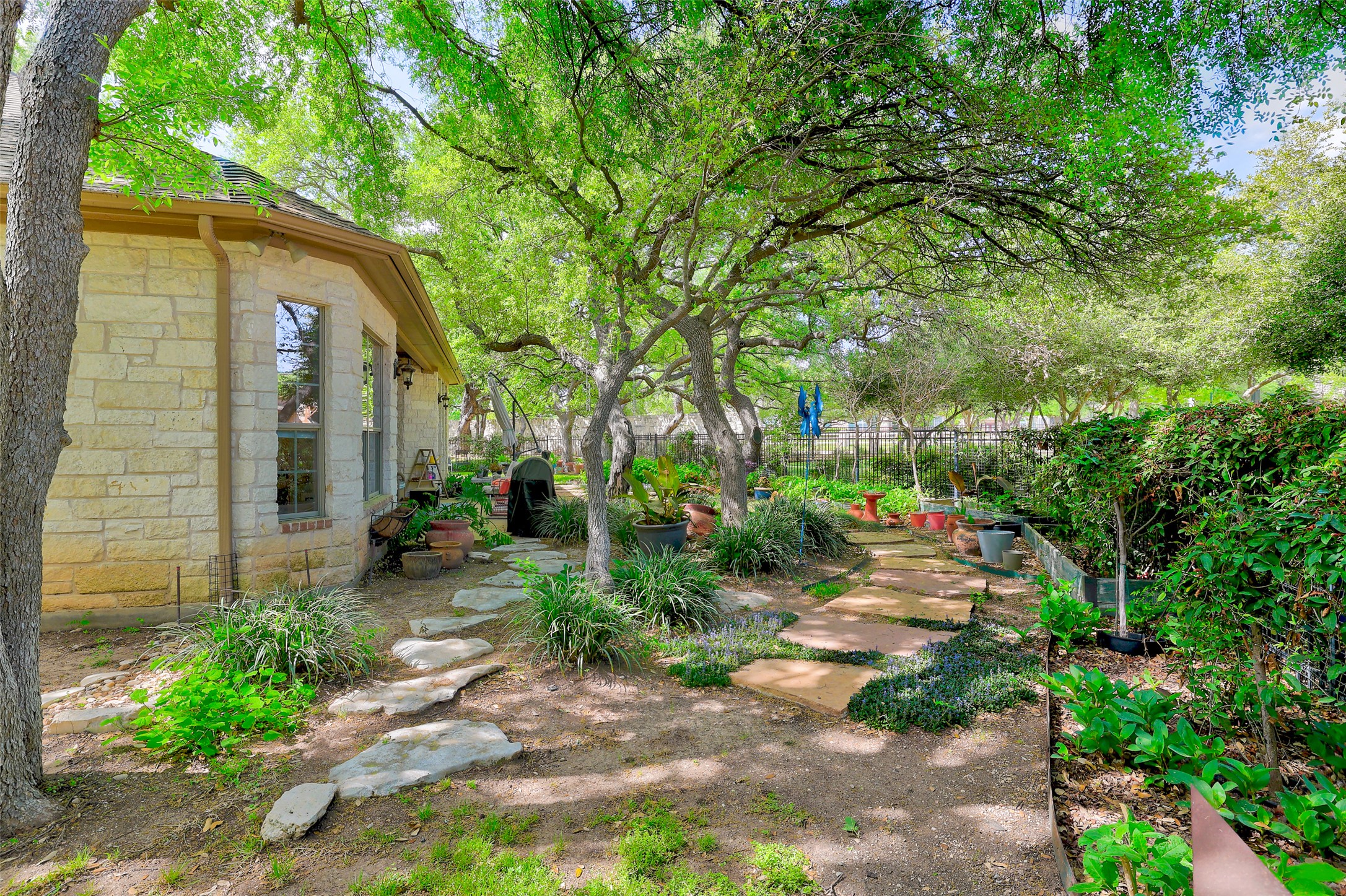 805 Boquilla Trail Georgetown, TX 78633 - Photo 38 of 40 a backyard of a house with plants and large trees